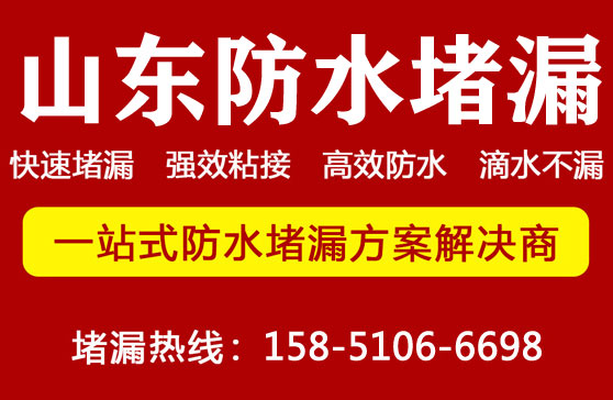 淄博堵漏公司(sī)