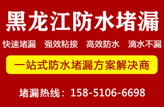 哈(hā)爾濱堵漏公司