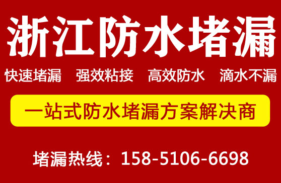 浙江堵漏公(gōng)司